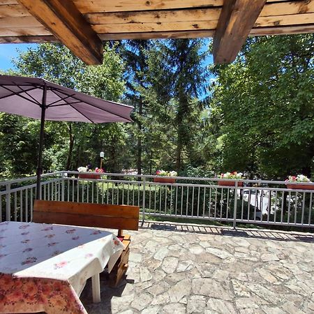 Apartman Relax In Nature Яйце Екстериор снимка