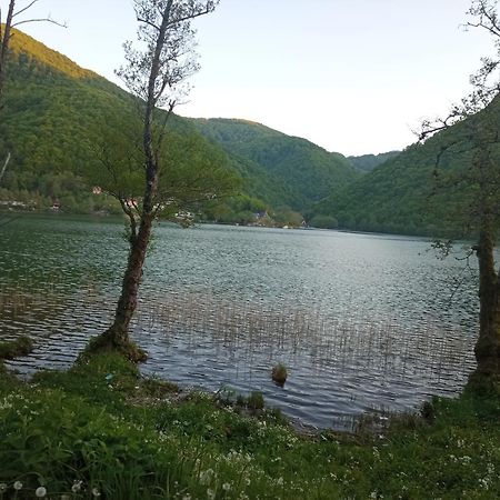 Apartman Relax In Nature Яйце Екстериор снимка
